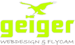 logo geiger